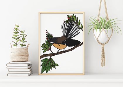 Fantail New Zealand Bird Art Print